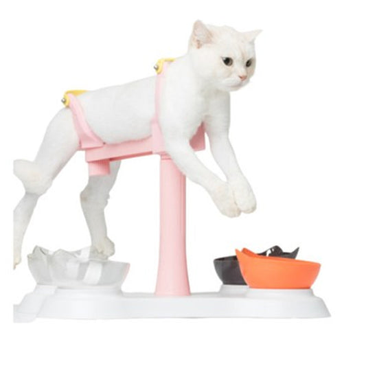 With Molly Pat multipurpose pat grooming chair bath haircut various uses