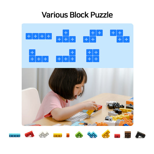 Hello Carbot Anyblock Puzzle Hero 40 kinds of puzzle designs 13.5 x 13.5 x 3.9 inch