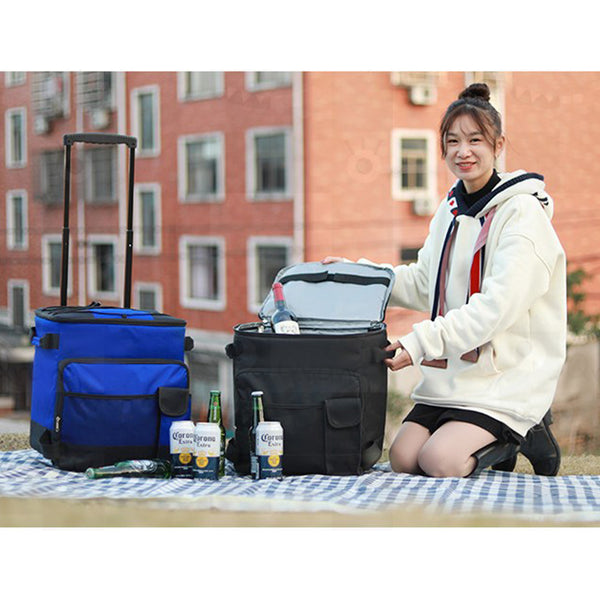 With Molly ES0710 Insulated Carrier Type Cooling Bag lightweight and durable high-capacity storage carrier Black 14x13x15inch 43L