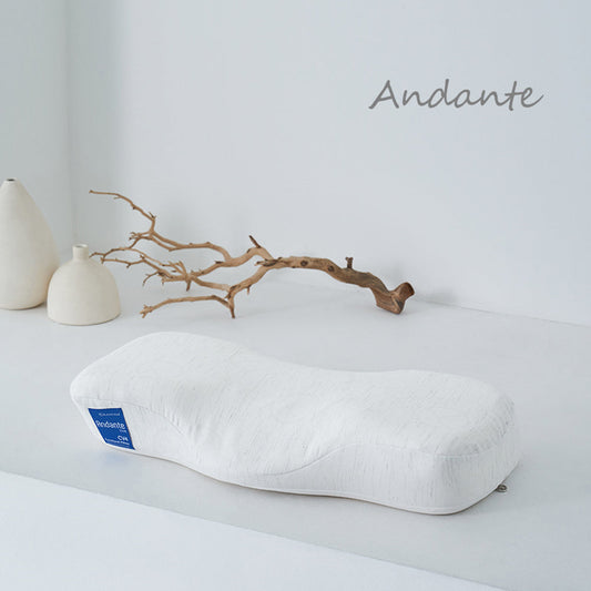 Kanuda Blue Label Andante modal Memory Foam Air Cushion 60x29x10 cm (Ship from Korea)