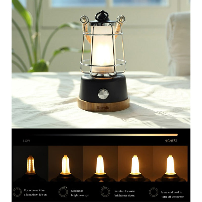 With Molly Carnic Vintagerope Emotional Camping Lantern USB or battery rechargeable  4.9x9inch