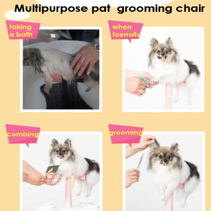 With Molly Pat multipurpose pat grooming chair bath haircut various uses