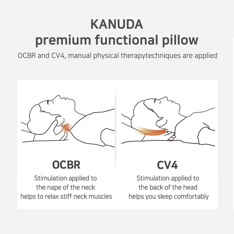 Kanuda Blue Label Andante modal Memory Foam Air Cushion 60x29x10 cm (Ship from Korea)